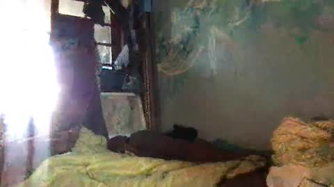 srekos38 online show from October 2025 06:32:02 AM