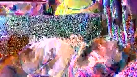 srekos38 online show from April 2026 08:40:01 AM