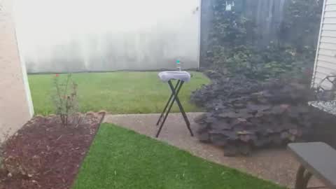 srtxshow online show from October 2025 02:07:01 PM