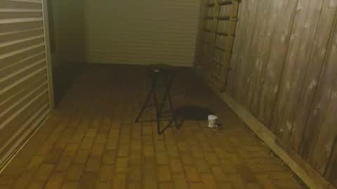 srtxshow online show from October 2025 11:53:02 AM