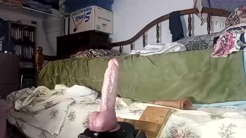 Dick online show from November 2025 06:56:02 AM