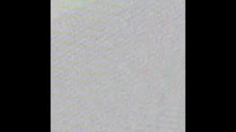 Snapshot of stacymaliibu chatting on January 2025 12:15:02 PM Stacy online show from January 2025 12:15:02 PM