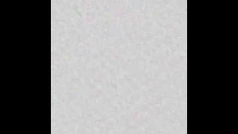 Stacy online show from January 2026 01:05:02 PM