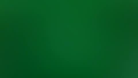 stacysquirtle online show from February 2026 12:00:01 PM