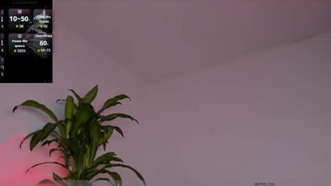 kay online show from July 2026 03:19:02 PM
