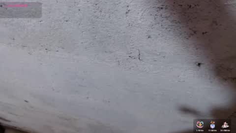 stefany_pablo1 online show from November 2025 12:51:02 PM