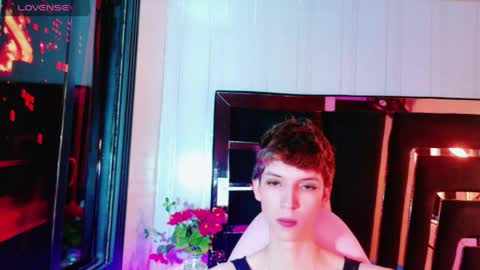 stefany piink online show from May 2026 12:22:02 PM