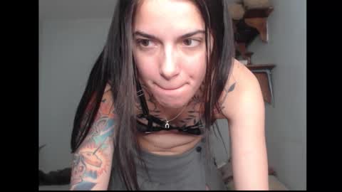 Stella online show from February 2026 02:08:02 AM