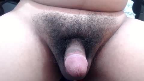 Stellaven online show from January 2025 10:11:01 AM