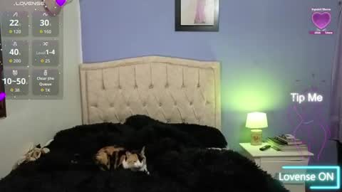 Snapshot of stephania_t chatting on June 2026 02:11:02 AM Stephania online show from June 2026 02:11:02 AM
