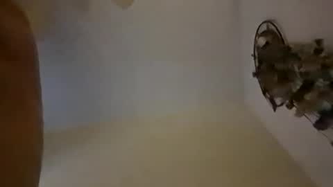 sterng123 online show from December 2024 09:01:02 AM