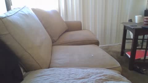 Snapshot of steven903625 chatting on December 2024 07:04:02 PM steven903625 online show from December 2024 07:04:02 PM