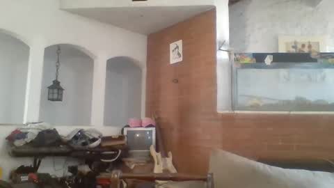 stevenson988 online show from February 2025 06:44:01 PM