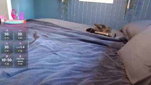 Snapshot of steviestiff chatting on February 2026 12:34:01 PM Steve online show from February 2026 12:34:01 PM