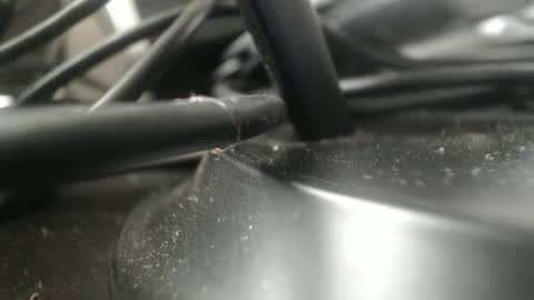 Stew Pididiot online show from September 2025 04:51:02 PM