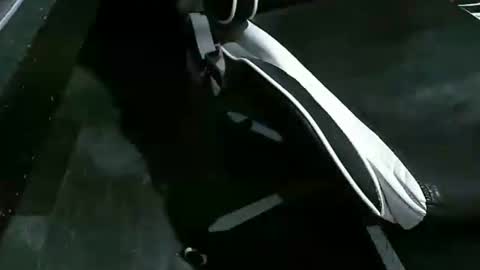 stiffler83pl online show from February 2026 12:34:02 PM