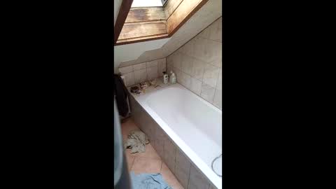 stiffler83pl online show from March 2026 12:53:02 PM