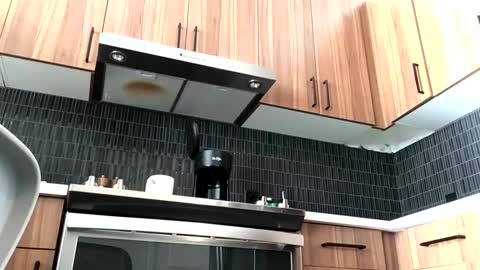 stlhotwifeguy online show from February 2025 03:36:02 PM