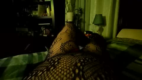 StockingGeek online show from December 2025 07:06:02 AM