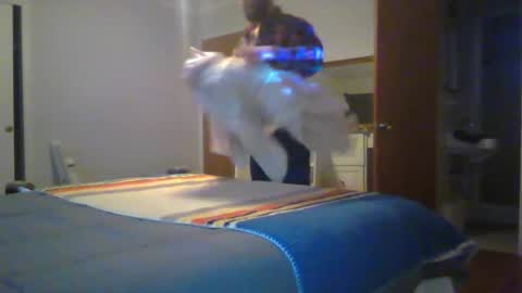 Chris4AllToWatch online show from January 2026 06:08:01 AM