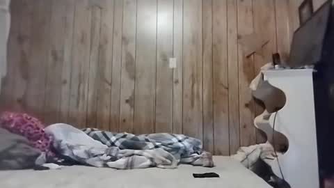 Snapshot of straighttoy chatting on March 2025 05:09:01 AM straighttoy online show from March 2025 05:09:01 AM