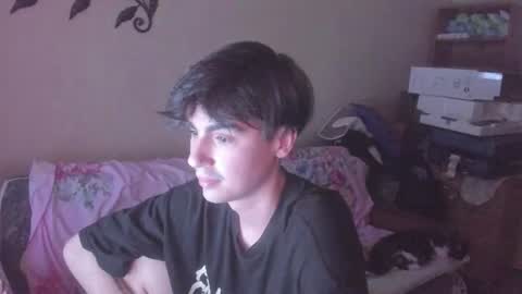 Snapshot of stralght_twinks chatting on June 2026 12:52:02 AM Ray online show from June 2026 12:52:02 AM