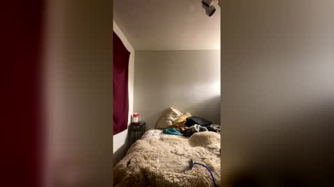 Stag online show from January 2026 06:04:01 AM