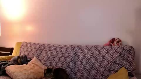 Strawberrylotsacake online show from November 2025 04:07:02 PM