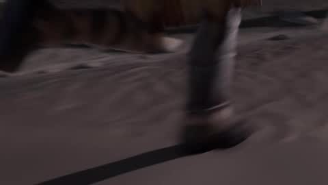 stream247_v2 online show from January 2026 10:09:02 AM