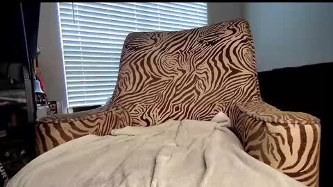 JVCKRABBIT online show from February 2025 04:10:02 PM