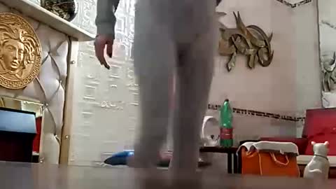 striphubs online show from March 2026 09:32:01 PM