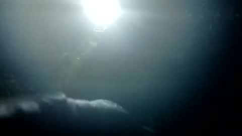 Snapshot of stroll0695 chatting on January 2025 01:36:02 PM Bigdickdugan online show from January 2025 01:36:02 PM