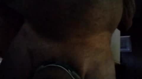 stuffamuffagus69 online show from November 2025 01:00:01 AM