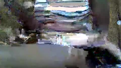 Snapshot of submissive_slut001 chatting on January 2025 11:50:02 AM submissive_slut001 online show from January 2025 11:50:02 AM