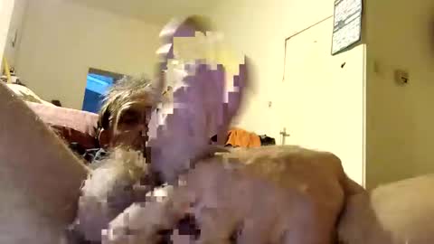 suckmeplease70 online show from April 2026 04:21:02 AM