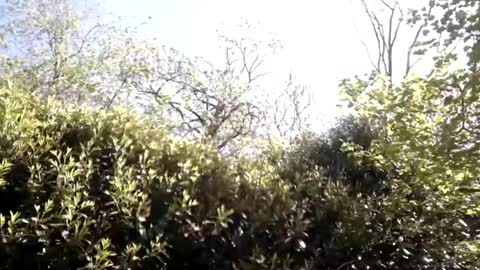 sucrette5629 online show from April 2026 01:14:02 PM