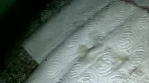 Snapshot of suesser0009 chatting on February 2025 09:53:02 PM Martin sweetboy online show from February 2025 09:53:02 PM