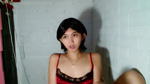 Sugar online show from December 2025 11:55:02 PM