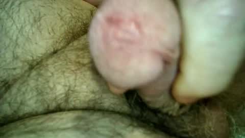 Samenspender online show from March 2026 04:13:01 PM