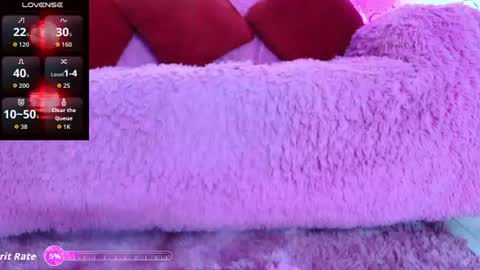    online show from July 2026 01:41:02 PM