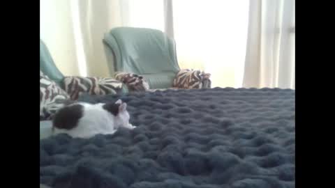 suni online show from March 2025 11:42:02 AM