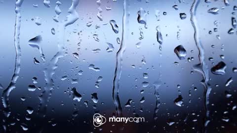 sven online show from January 2026 06:24:02 PM