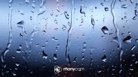 Snapshot of sunnybigboy88 chatting on February 2026 06:58:01 PM sven online show from February 2026 06:58:01 PM