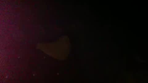 Sunnyblack2 online show from March 2026 07:07:01 PM