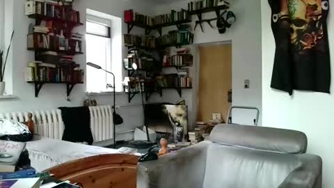 sunr1sa online show from January 2025 10:41:02 AM