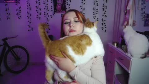 Sunset online show from October 2025 06:41:02 AM