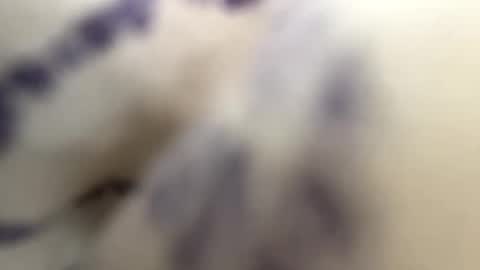 Andy online show from January 2025 09:58:01 PM