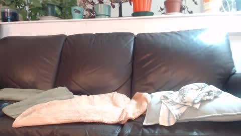 Otto online show from January 2025 01:11:01 AM