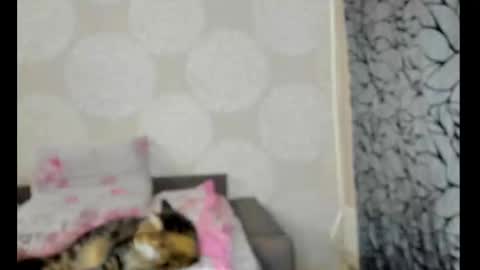 Snapshot of suzan_saint chatting on February 2025 10:55:02 AM S online show from February 2025 10:55:02 AM