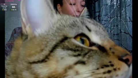 Snapshot of suzan_saint chatting on March 2025 03:54:01 AM S online show from March 2025 03:54:01 AM